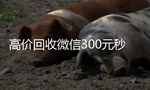 高价回收微信300回收微信号元秒结（高价回收vx300元秒结）